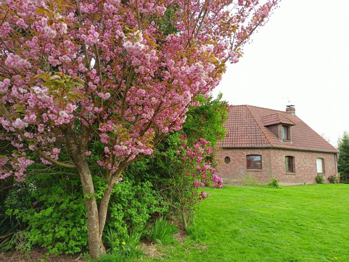 Les Chambres Du Vert Galant "La Campagne Qui Murmure" Verlinghem Exterior foto