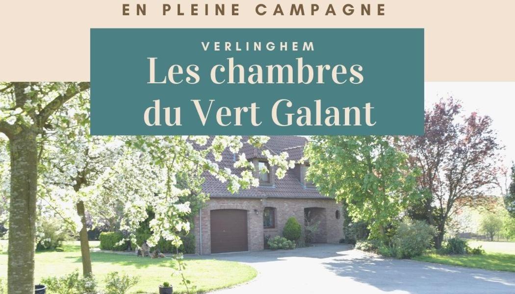 Les Chambres Du Vert Galant "La Campagne Qui Murmure" Verlinghem Exterior foto