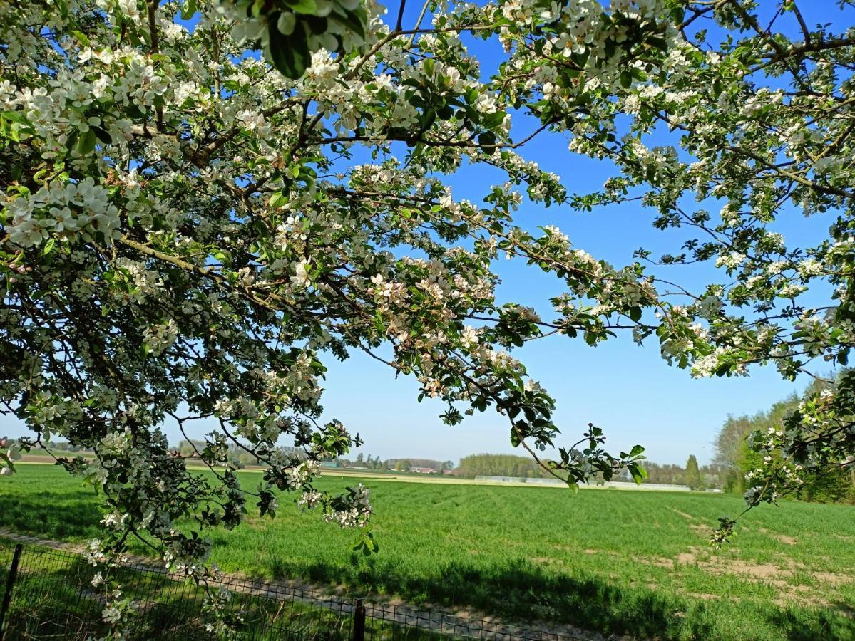 Les Chambres Du Vert Galant "La Campagne Qui Murmure" Verlinghem Exterior foto